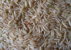 rice kernals